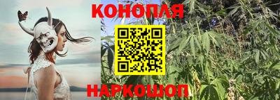 гашишное масло Обь