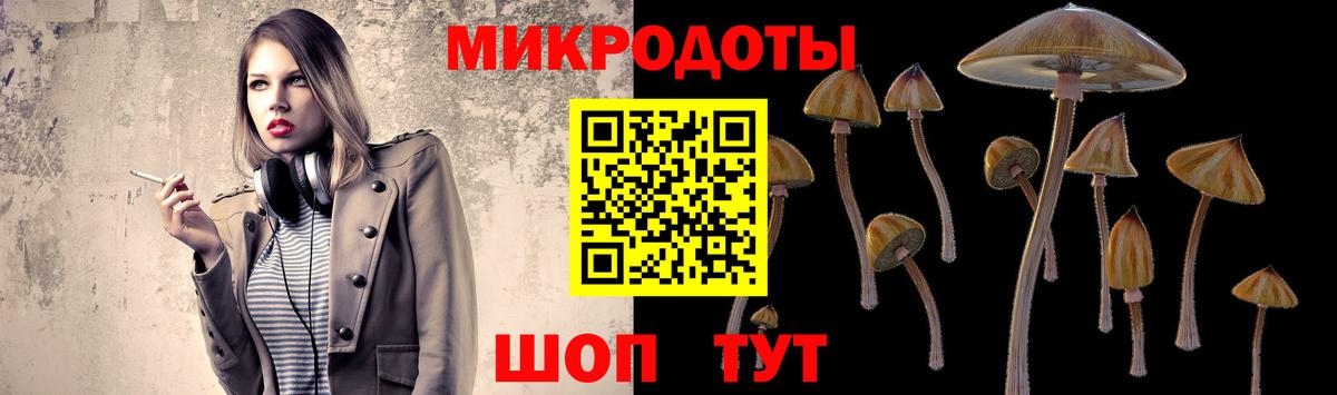 Галлюциногенные грибы GOLDEN TEACHER  Вход с VPN  Ревда 